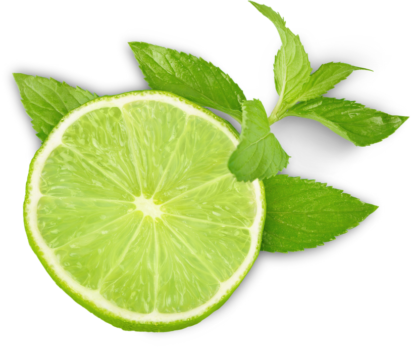 Two Pieces of Lime and Mint Leaves